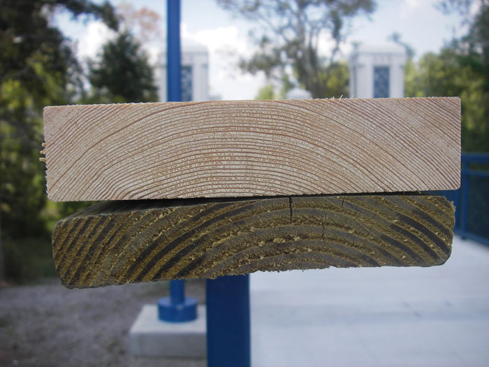 Siberian Larch vs. Treated Pine