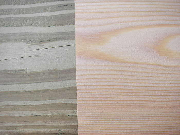 Siberian Larch vs. Treated Pine